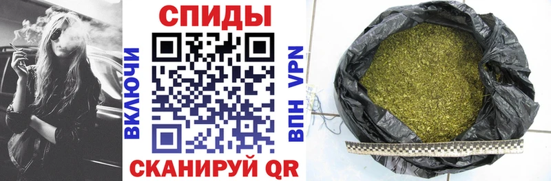 где найти   Павлово  KRAKEN ТОР  Бутират оксибутират 